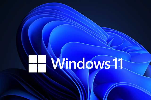 windows 11